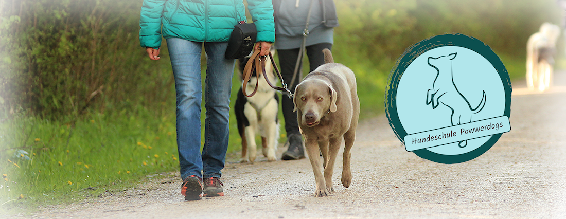 Social Walk