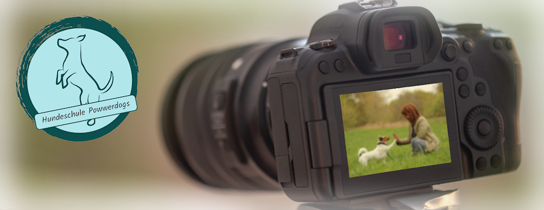 Fotospaziergang mit Bianca Weegen